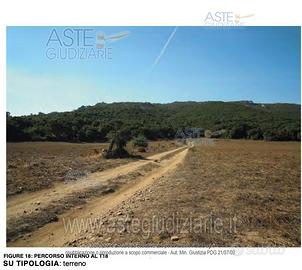 Terreno Agricolo Aggius [A368207]