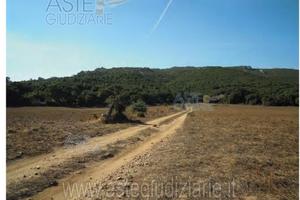 Terreno Agricolo Aggius [A368207]