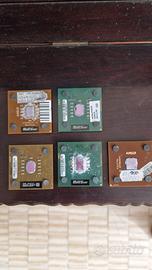 lotto cpu amd