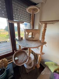 Albero Tiragraffi per gatti. Tree cats.