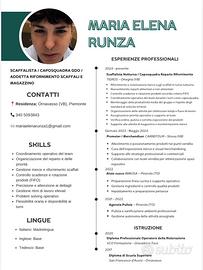 Scaffalista, Bar, AiutoCuoco, Dog sitter