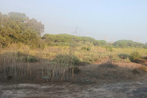 Terreno Agricolo Portoscuso