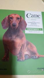 Il Cane Amarlo capirlo educarlo #12 e 13