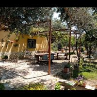 Casa vacanze in collina vicino Reggio Calabria