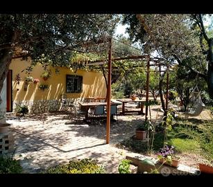 Casa vacanze in collina vicino Reggio Calabria