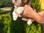Immagine 3