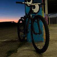 Bici da dirt