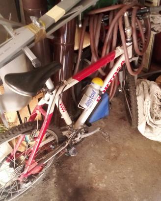 Bici Uomo/Donna