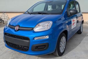 Fiat Panda Pandina 1.0 FireFly 65 CV Hybrid Icon