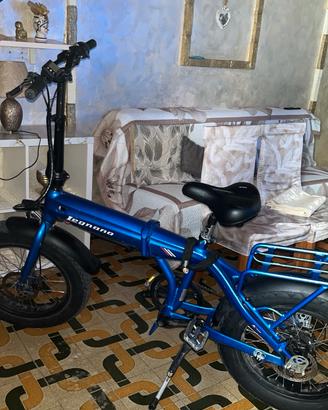 bici elettrica 