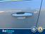 Immagine 9