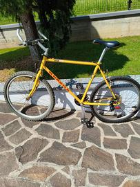 Mountain bike Kastle