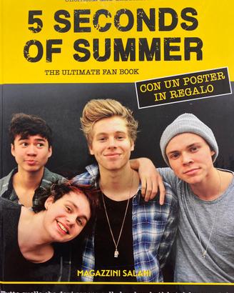 Rivista gruppo britannico 5 Seconds of Summer.