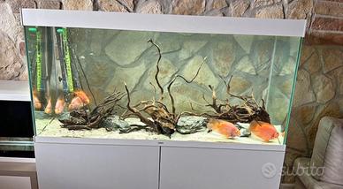 Acquario juwel 125