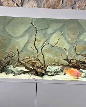 Acquario juwel 125