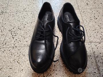 scarpa stringata  geox