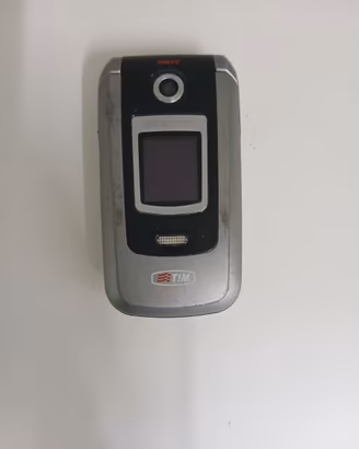 SAMSUNG SGH-Z300