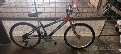 Bicicletta 26 pollici