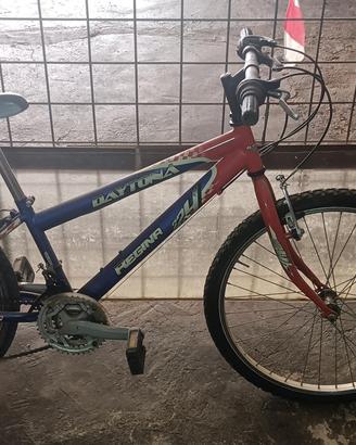 Bicicletta 26 pollici