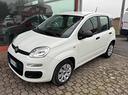 fiat-panda-1-2-pop