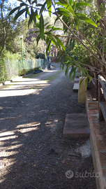 Sud Sardegna S.Margherita pula pinus Village