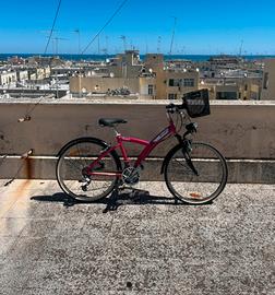 Bicicletta