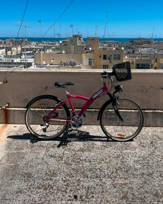 Bicicletta