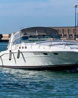 Sea ray 40 Cruiser