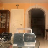 Radio portatile