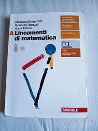 lineamenti di matematica A , zanichelli