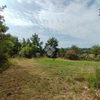 TER. AGRICOLO A PUEGNAGO SUL GARDA