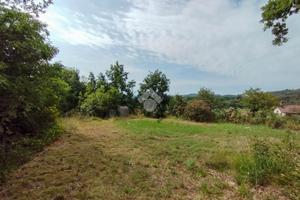 TER. AGRICOLO A PUEGNAGO SUL GARDA