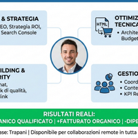 Seo Specialist E-commerce Director