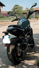 Benelli Leoncino 800