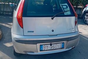 fiat punto 