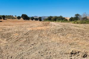Terreno Agricolo