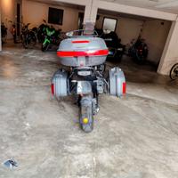 Borse laterali CF moto 800 mt
