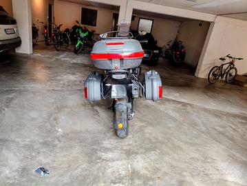 Borse laterali CF moto 800 mt