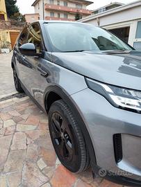 Discovery sport S