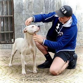 CUCCIOLONA DOGO ARGENTINO rimborso spese