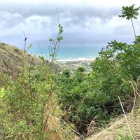 Rustico/Casale/Corte Cefalù [BAI201 - 07/2026VRG]