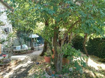 Villetta indipendente immersa nel verde - Licenza