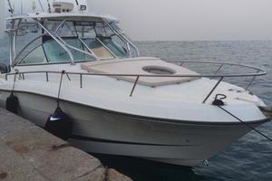 Hydra Sports 2900VX + 2x250hp Yamaha (tutto 2009)