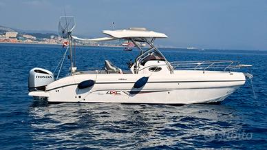 Ranieri Shadow 24 H24SD