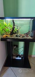 Acquario 60 litri