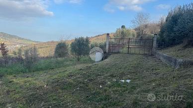 TER. AGRICOLO A RIPATRANSONE