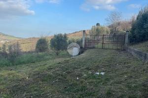 TER. AGRICOLO A RIPATRANSONE