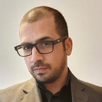 Esperto WordPress per collaborazioni