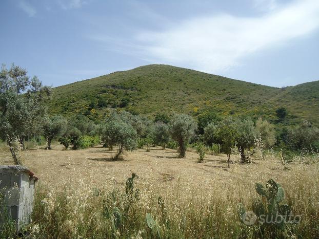 Terreno pianeggiante in collina