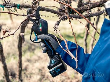 FORBICI CAMPAGNOLA NOVA 35